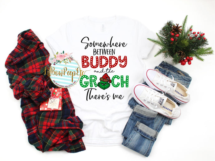 Somewhere between Buddy and the Grinch there's me