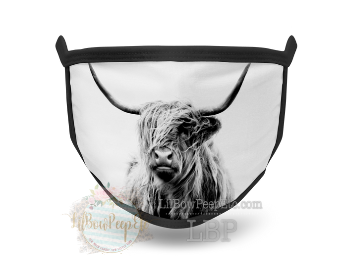 Highland Cow