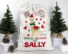 Load image into Gallery viewer, Personalized LLama Santa Sack