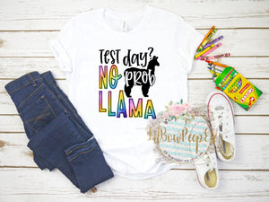 Test Day No Prob Llama